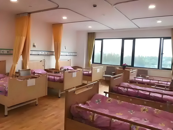 萌萌驯龙记