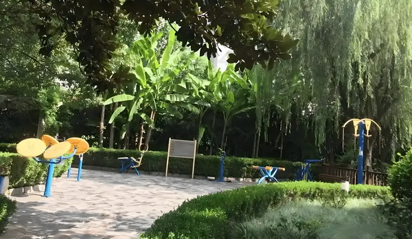 盲妃太嚣：邪王休书拿来