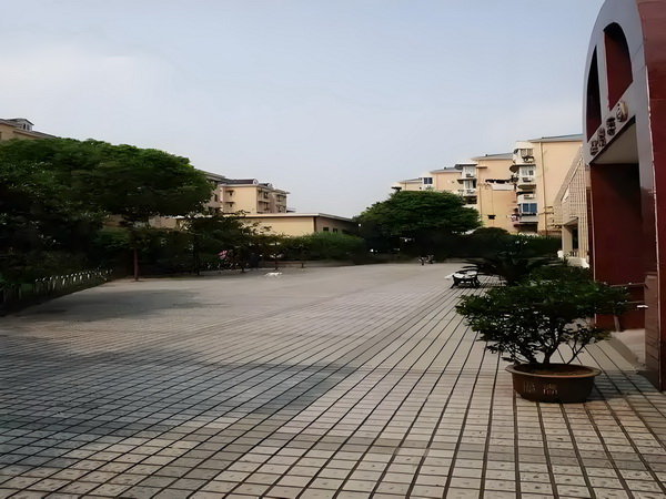 新的王者