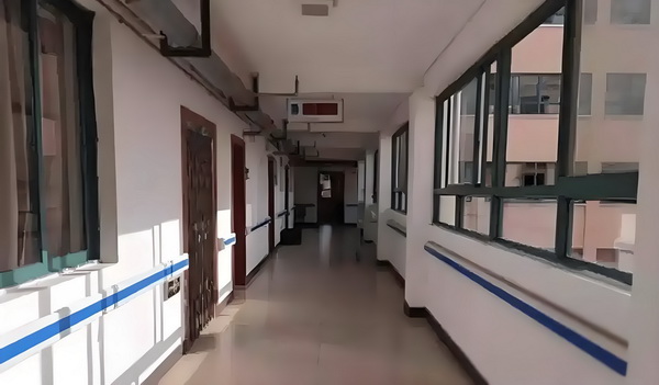 珠珠公主